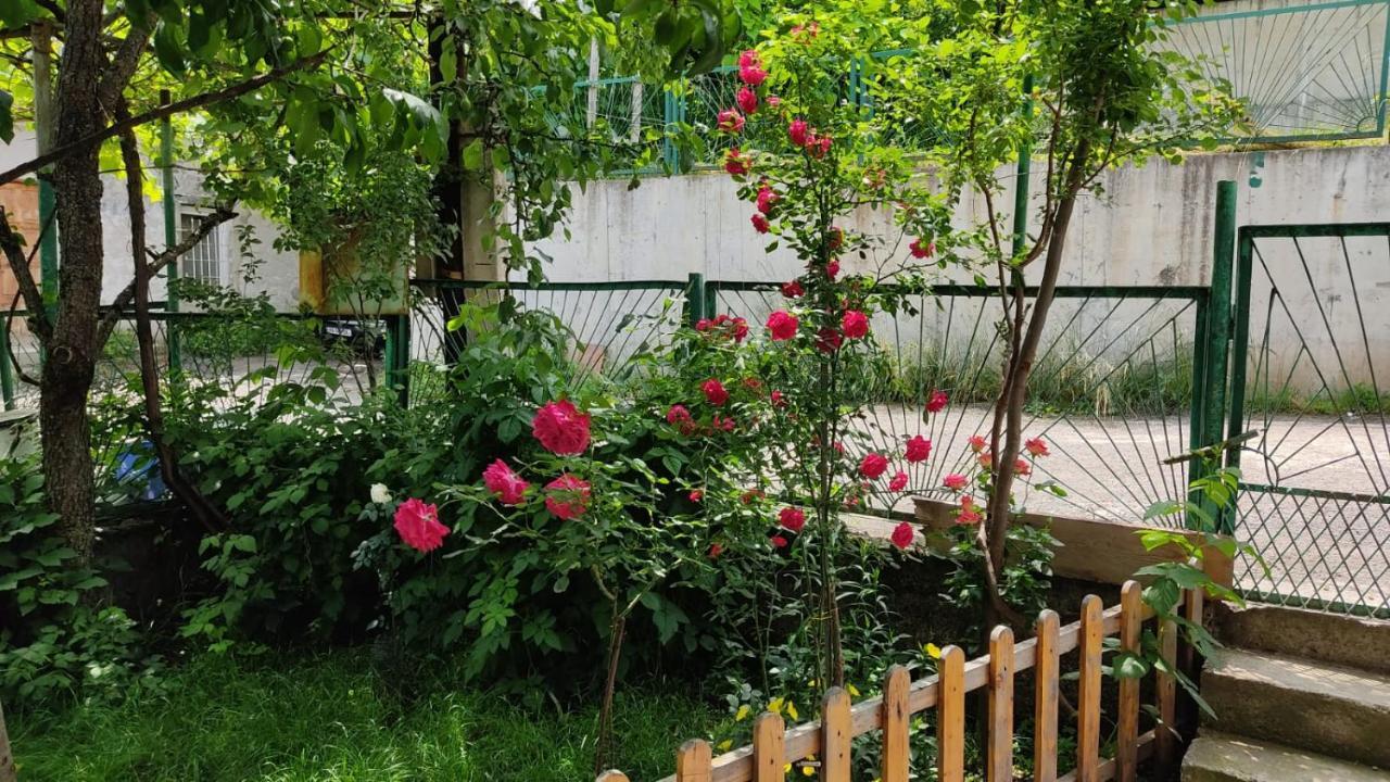 Borjomi Nest Hotel Exterior photo