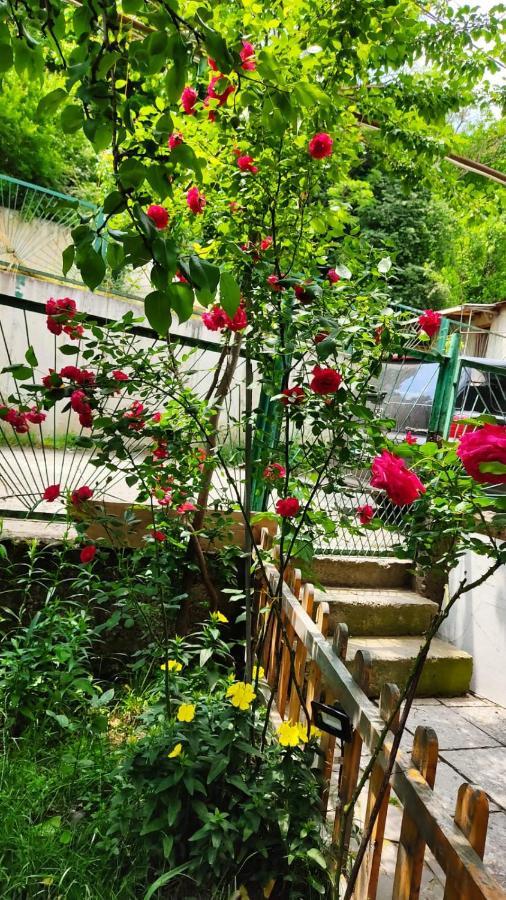 Borjomi Nest Hotel Exterior photo